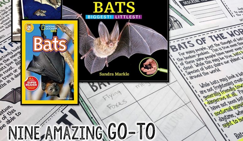 9 Amazing Go-To Books About Bats