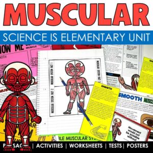 Muscular System Human Body Systems Science Unit Product Cover from Tied 2 Teaching. Contains Reading Passages, Interactive Notebook Activities and More.