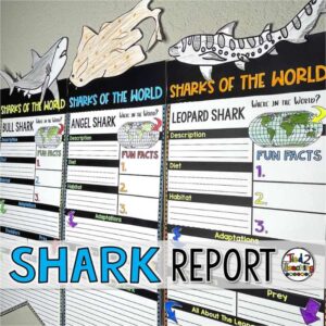 Shark Report Research Report Pennants by Tied 2 Teaching Product cover. Includes beautiful sharks of the work pennant toppers.
