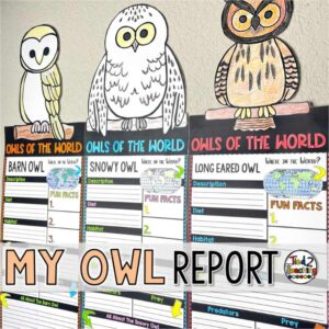 Owl Report Pennants by Tied 2 Teaching product cover. contains pennants for displaying beautiful research reports on owl species from around the world.
