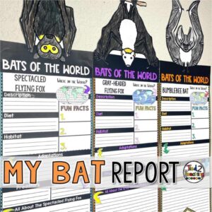 Bat Report Pennants by Tied 2 Teaching product cover. contains pennants for displaying beautiful research reports on bat species from around the world.