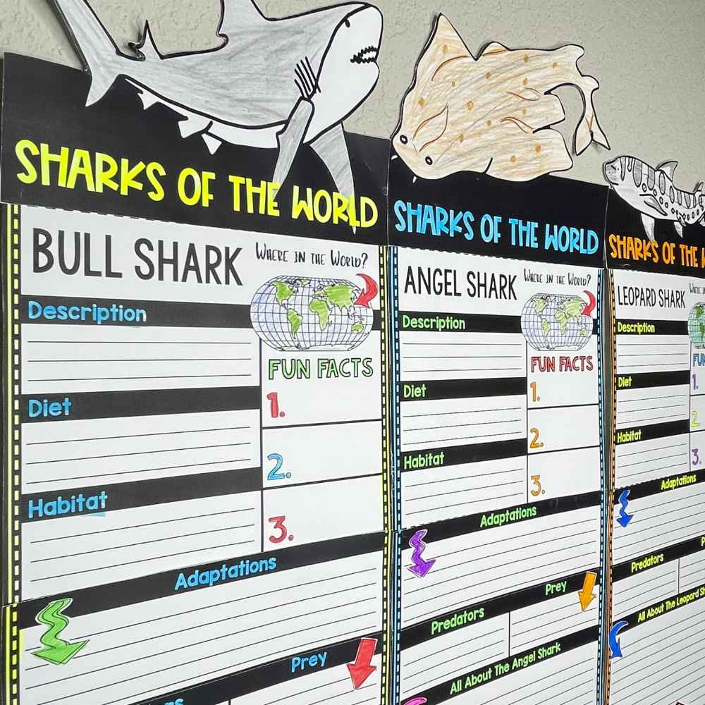 Sharks of the World Research Pennants